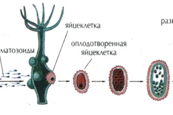 Кракен оригинальный